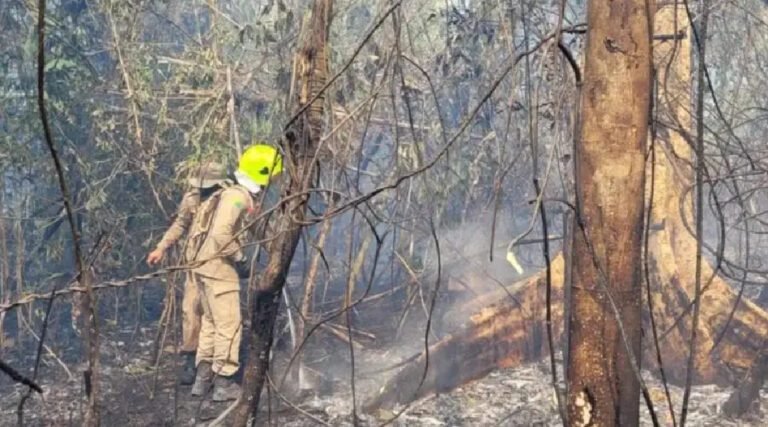 No AC, focos de incêndio em julho já se aproximam do total do primeiro semestre