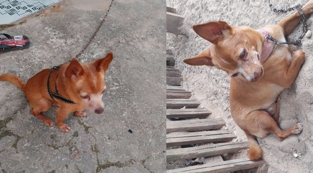 Novo Projeto - 2023-07-18T210730.580