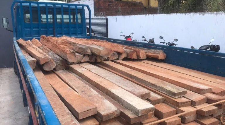 Polícia Militar prende madeira ilegal em Cruzeiro do Sul