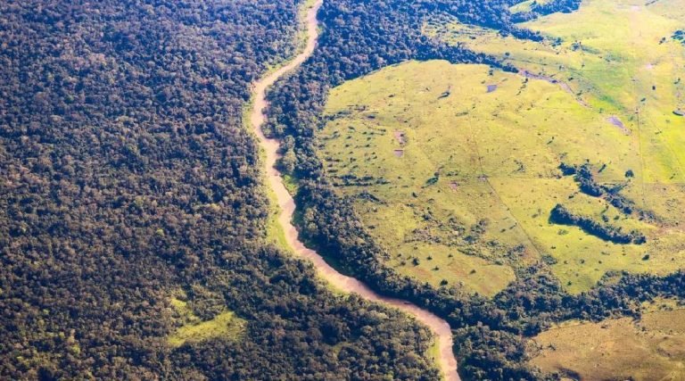 Governo decreta situação de emergência no Acre por desmatamento e degradação florestal