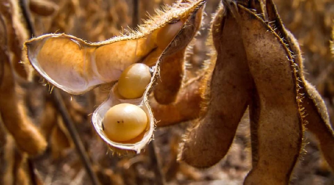 Novo Projeto - 2023-08-16T200553.963