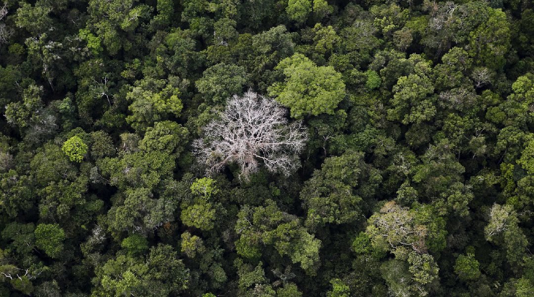 Novo Projeto - 2023-08-17T204727.379