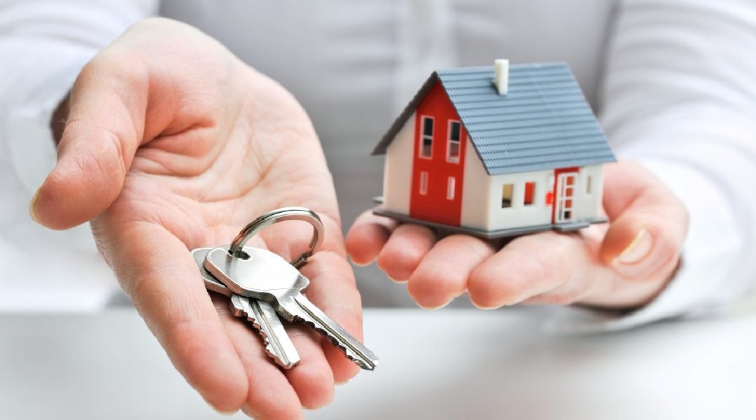 Novo Projeto - 2023-08-19T141109.278