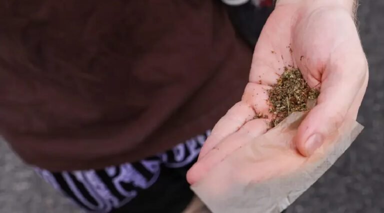 Descriminalização da maconha no Brasil: o que foi definido sobre porte no STF e o que está pendente