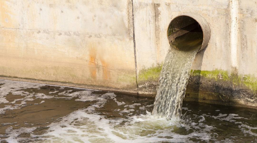 Novo Projeto - 2023-09-08T155659.530