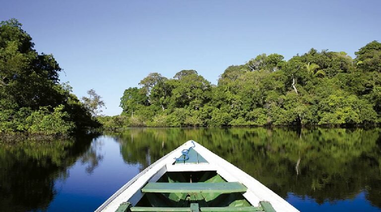 Acre já recebeu R$ 53 milhões do Fundo Amazônia, diz Folha