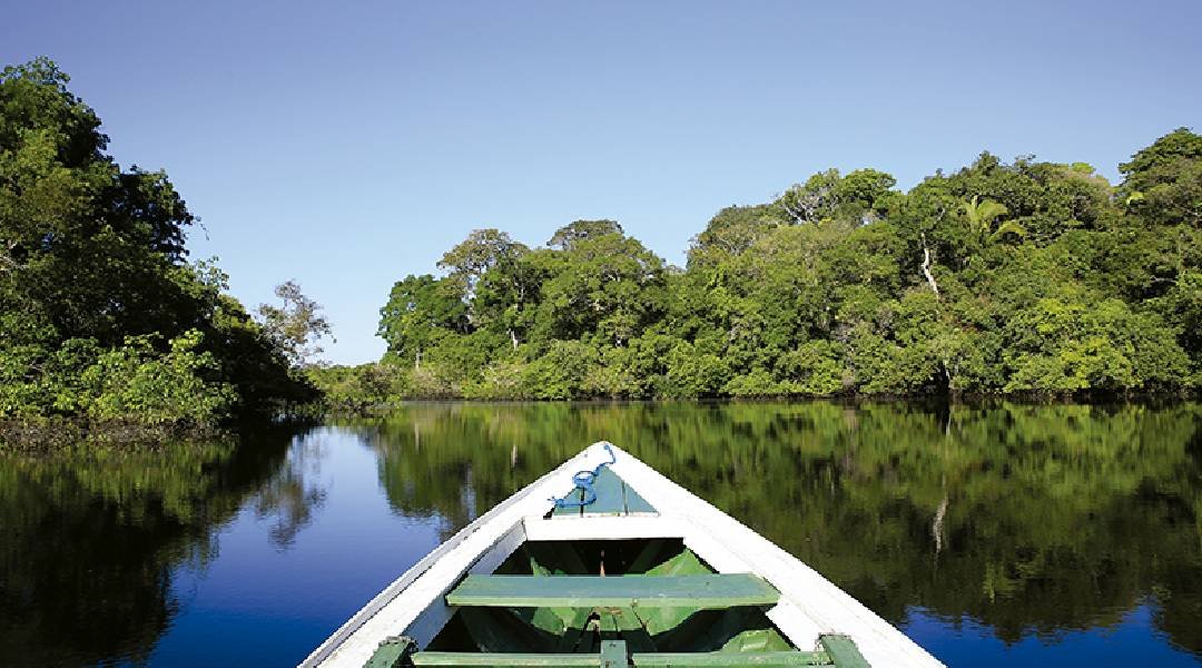 Novo Projeto - 2023-09-16T111016.323