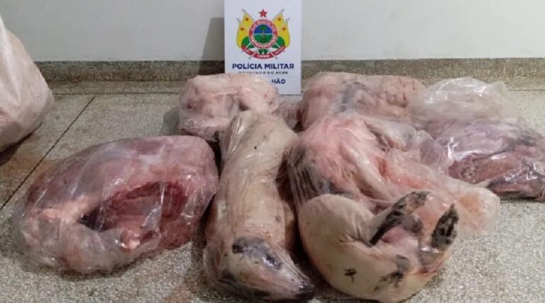 Homem é preso com quase 50kg de carne de caça na zona rural de Cruzeiro do Sul