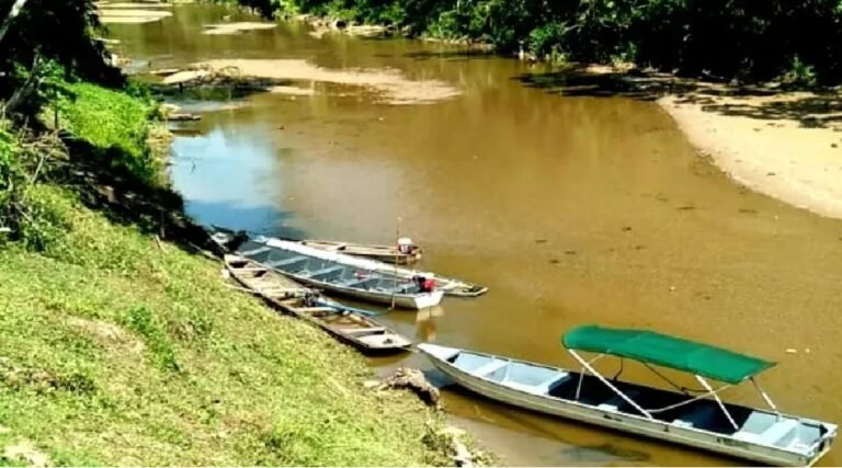 Indígenas isolados no Acre sofrem desnutrição e falta d’água por causa da seca