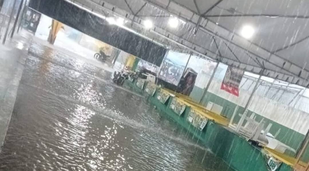 Novo Projeto - 2023-10-09T104050.296