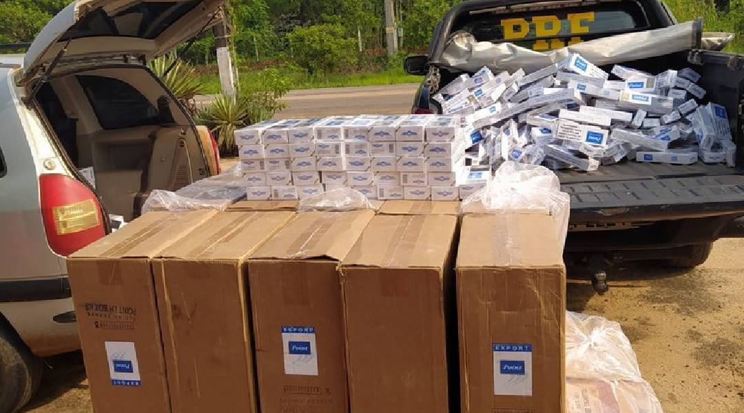 Novo Projeto - 2023-10-13T095605.618