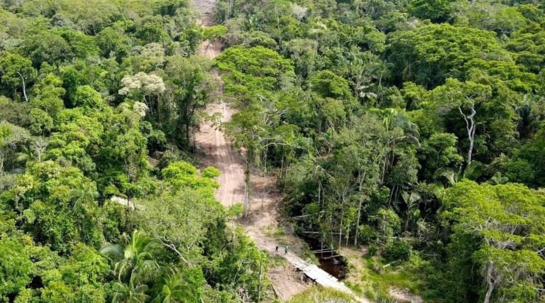 Prefeitura de Porto Walter e Governo do Estado iniciam nova rota do ramal Barbary para desviar trecho da Terra Indígena Jaminawá