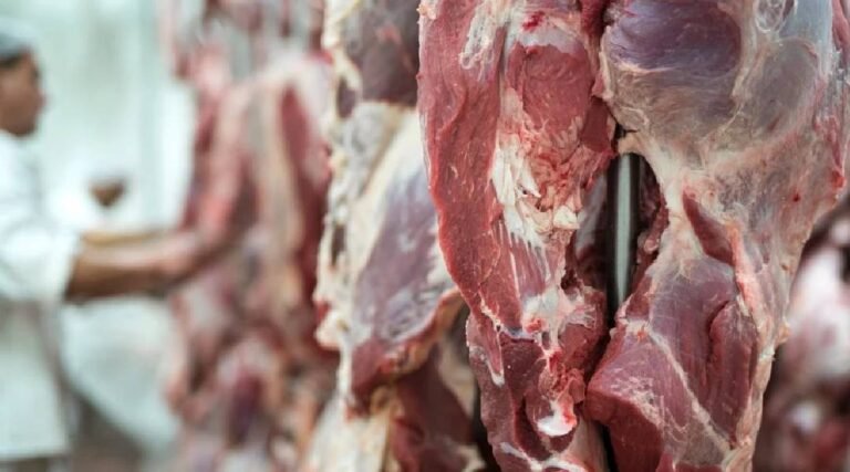 Em 12 meses o preço da carne bovina já caiu mais de 11%, em Rio Branco
