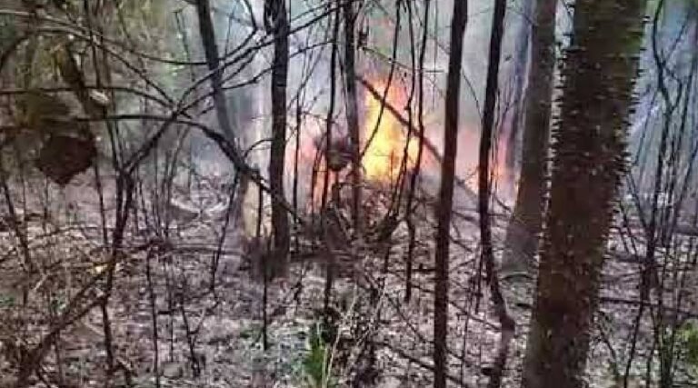 URGENTE: Avião bateu em copa de árvores, explodiu e 11 pessoas morreram carbonizadas no Acre