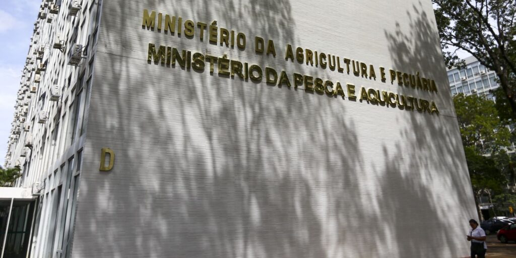 forca-tarefa-apreende-mais-de-6-mil-garrafas-de-azeite-falsificado