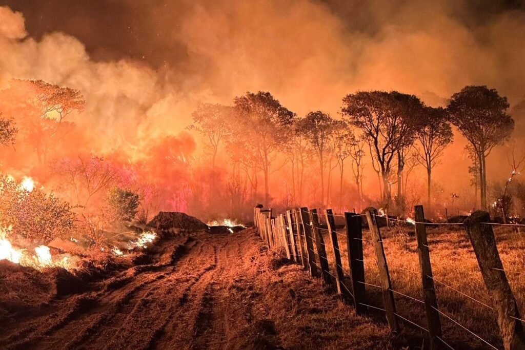 cop28-tem-inicio-apos-ano-de-“retrocesso“-mundial-no-clima,-dizem-especialistas-|-cnn-brasil