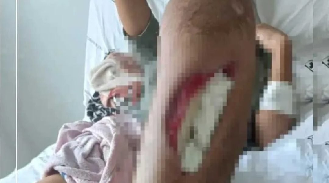 Novo Projeto - 2023-11-06T194027.913