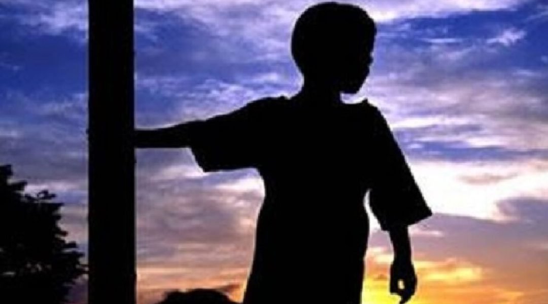 Novo Projeto - 2023-11-06T214555.300