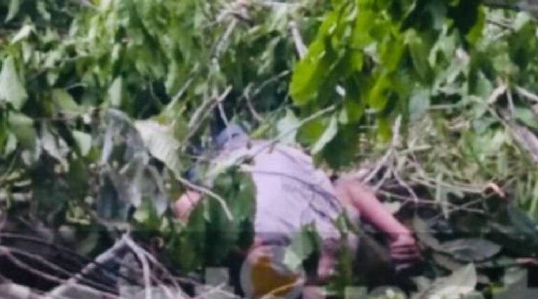 Foragido da Justiça morre durante derrubada de árvore na zona rural de Sena Madureira