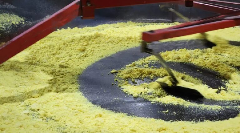 Praga na mandioca pode elevar o preço da saca de farinha para R$ 500 no Acre; entenda