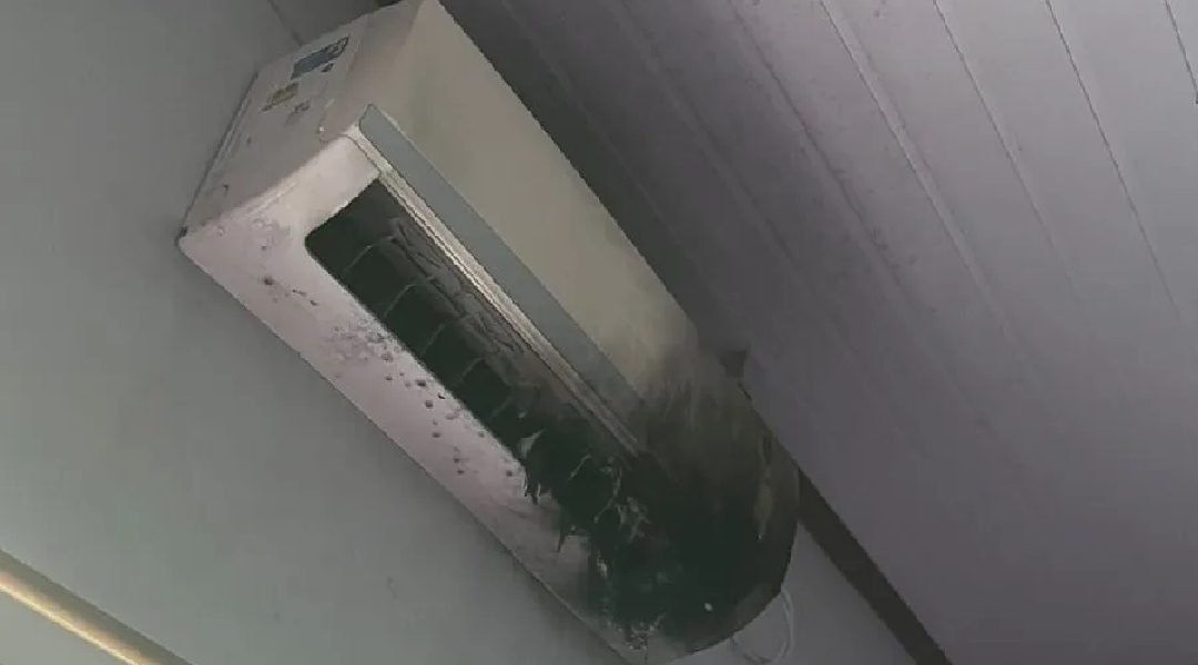 Novo Projeto - 2023-11-22T203731.869