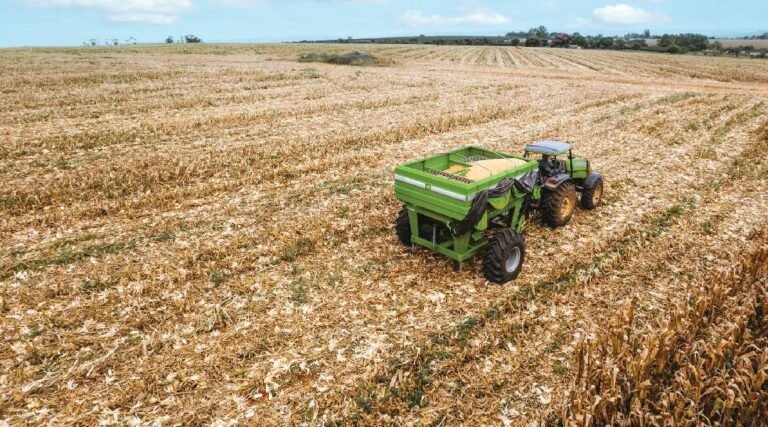 Procura por seguros aumenta e traz tranquilidade aos produtores rurais
