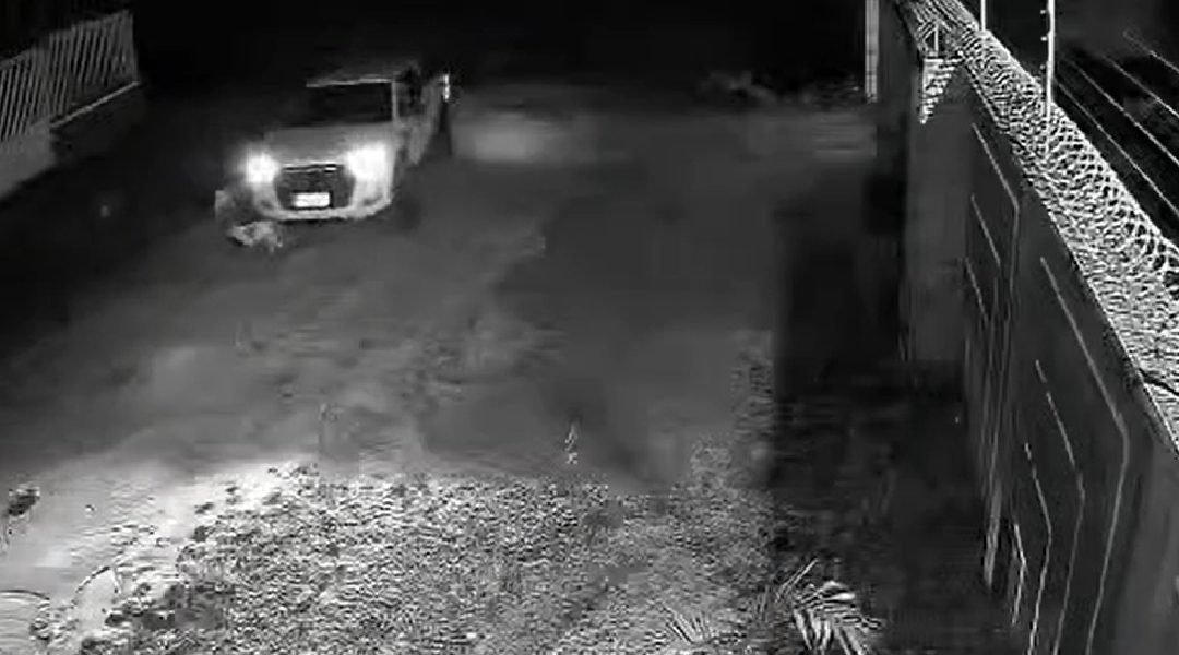 Novo Projeto - 2023-11-24T192534.614