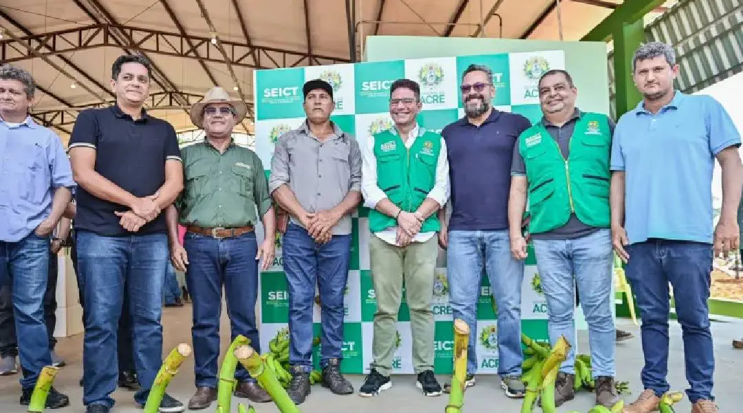 Novo Projeto (65)
