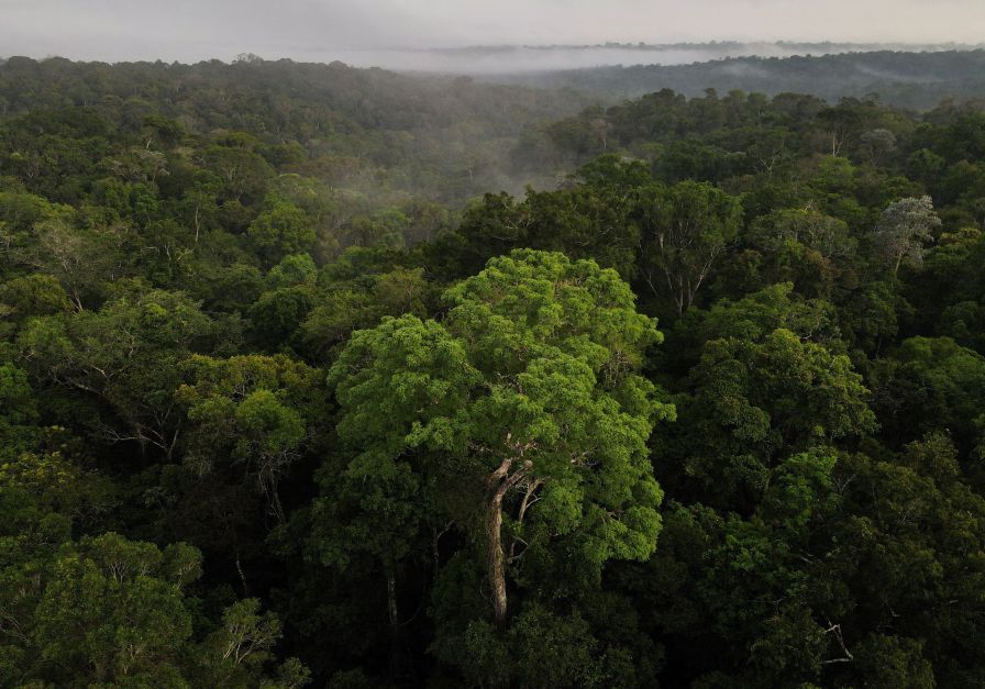 na-cop28,-tcu-apresenta-plataforma-digital-para-monitorar-propostas-climaticas-|-cnn-brasil