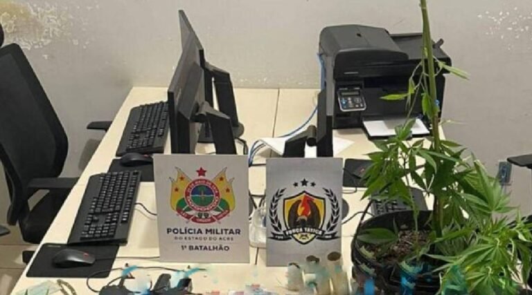 Plantação de maconha é apreendida em residência na capital