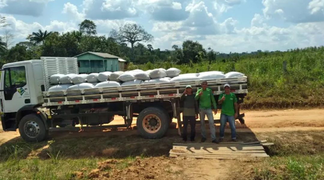 Novo Projeto - 2023-12-19T193341.171