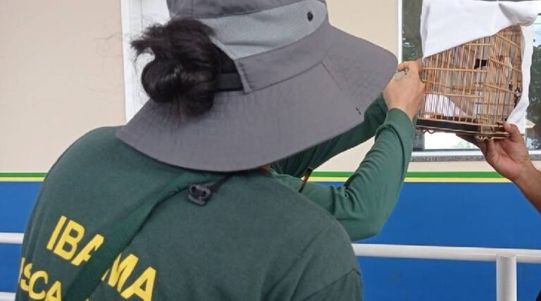 Operação resgata quase 100 animais silvestres vítimas de tráfico no Acre