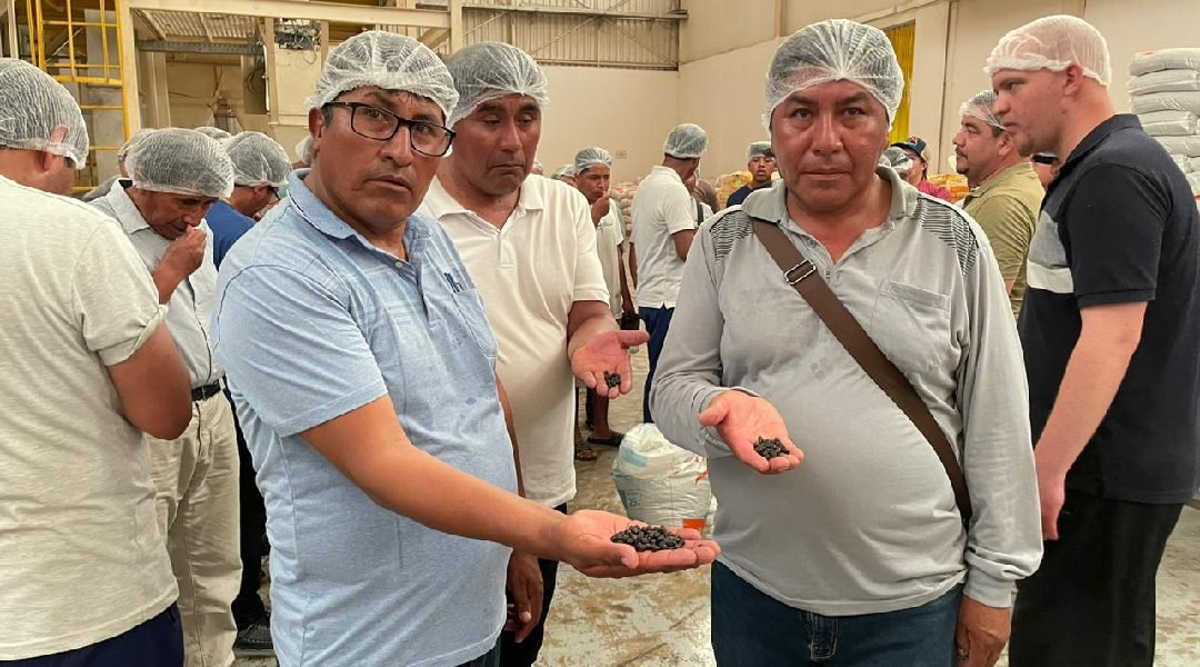 Novo Projeto - 2023-12-20T195212.805