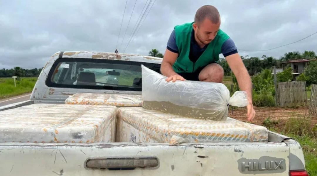 Novo Projeto - 2023-12-22T195557.226