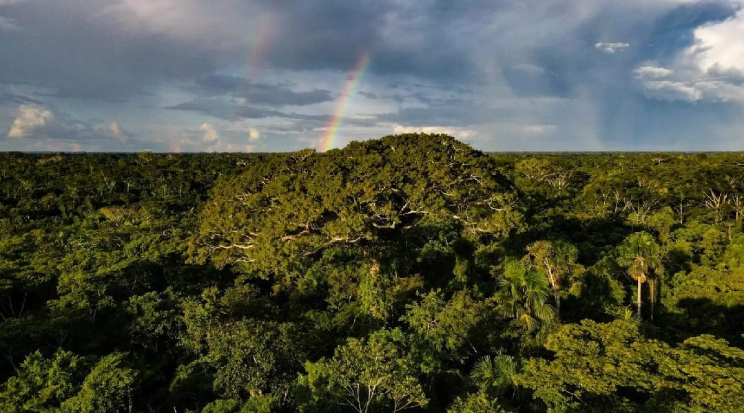 Novo Projeto - 2023-12-26T213419.780