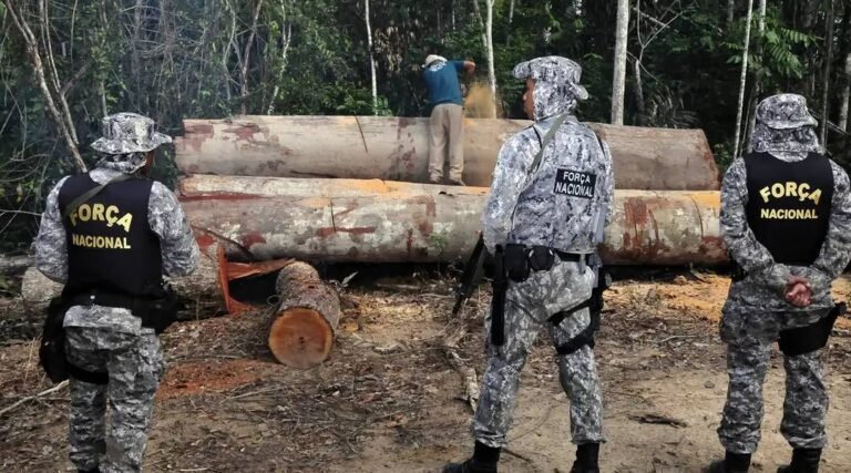 Em combate à extração ilegal de madeira, Governo Federal prorroga atuação da Força Nacional no Acre