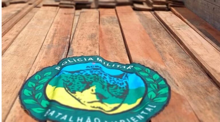 Polícia Militar realiza apreensão de madeira sem documentação ambiental em Cruzeiro do Sul