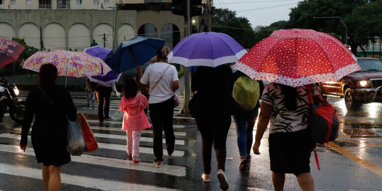 chuvas-em-sp-provocam-alagamentos-e-queda-de-arvores