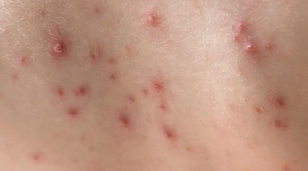 Novo Projeto - 2024-01-19T201347.115