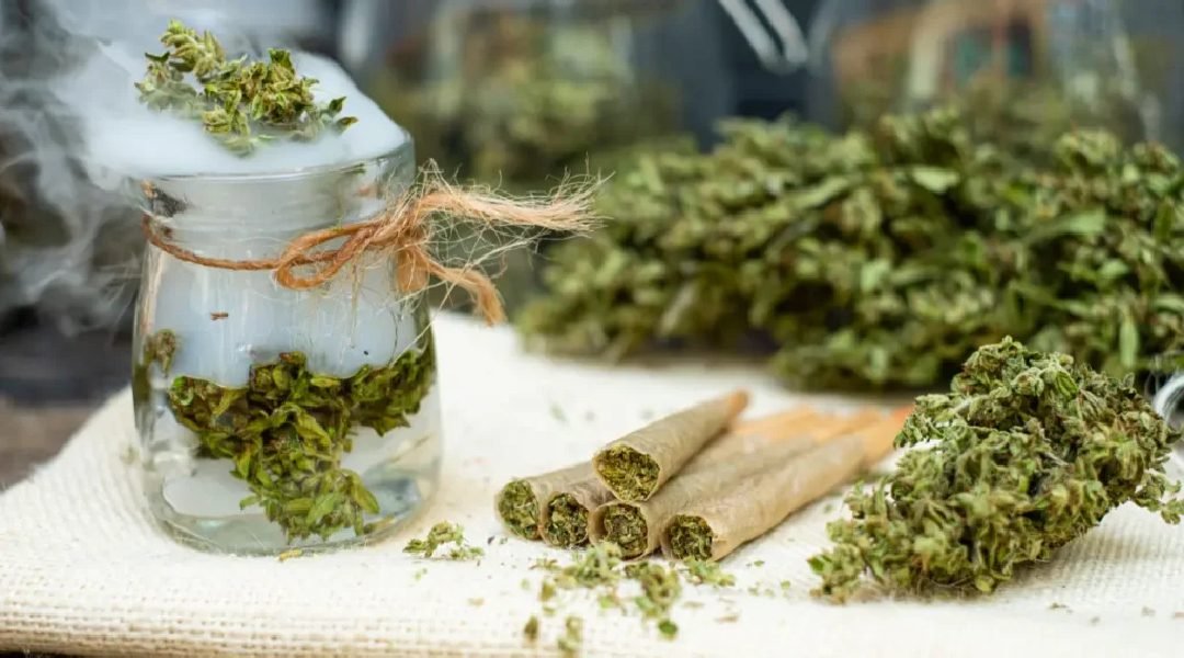 Novo Projeto - 2024-01-24T215219.938