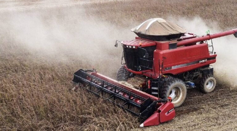 Soja foi o produto do Acre mais exportado em 2023