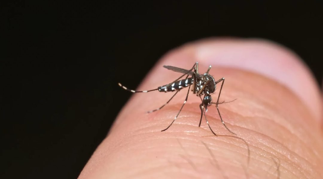 Novo Projeto - 2024-01-27T184615.828