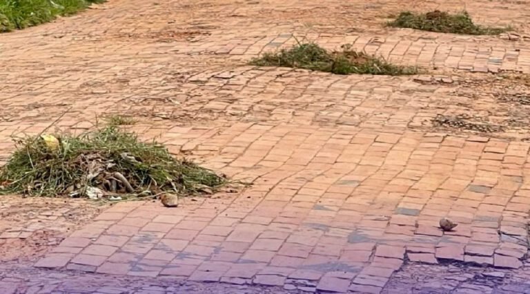 Moradores do bairro bela vista em Feijó tomam iniciativa diante da falta de manutenção municipal