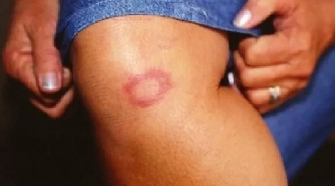 Novo Projeto - 2024-01-30T204651.157