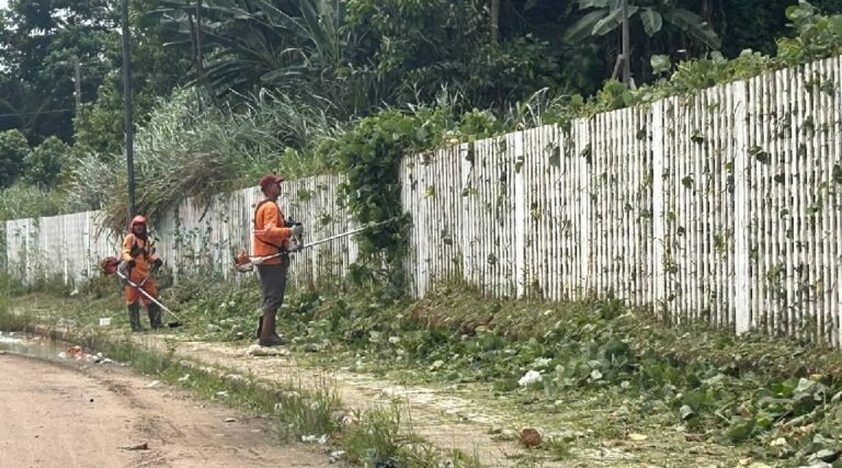 Secretaria de Meio Ambiente de Cruzeiro do Sul divulga dados do trabalho realizado em 2023