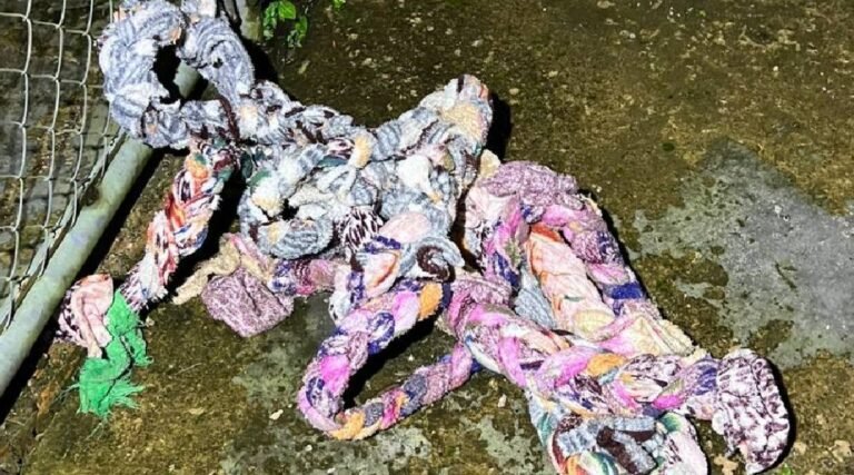 Plano de fuga de 18 detentos do presídio de Tarauacá é descoberto; veja as imagens