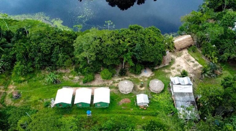 Produtores do Acre são remunerados por conservar a floresta