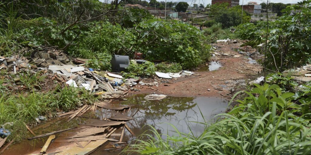 universidade-de-brasilia-faz-pesquisas-para-controlar-aedes-aegypti