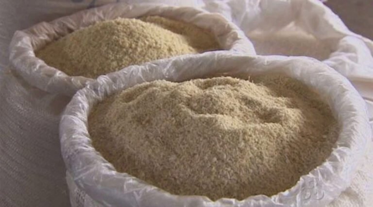 Projeto de Lei reconhece Cruzeiro do Sul como Capital Nacional da Farinha