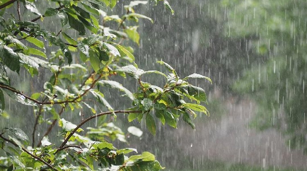 Novo Projeto - 2024-02-09T201136.350